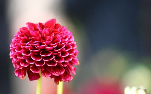 苦瓜炒冬瓜怎么做好吃