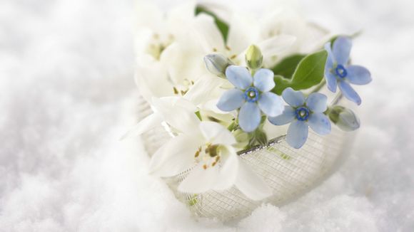 辣白菜有什么营养