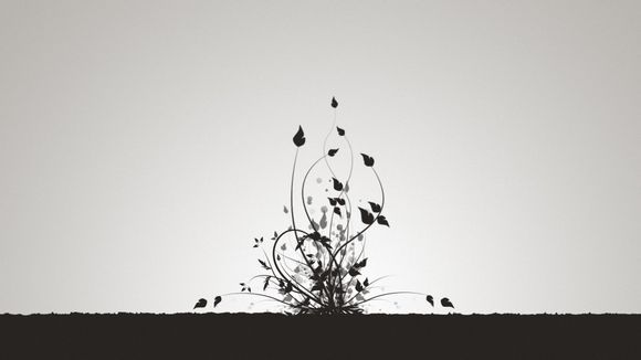 胡萝卜泥做什么好吃