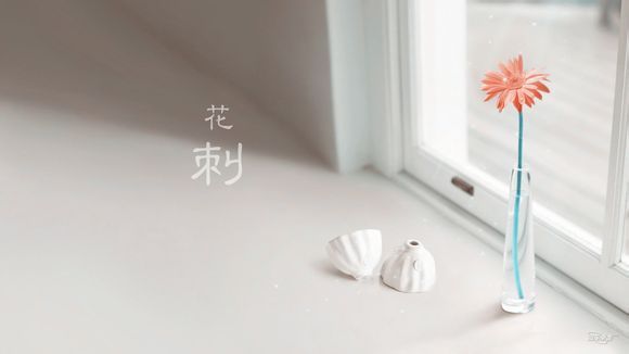 脱发和白发吃什么食物